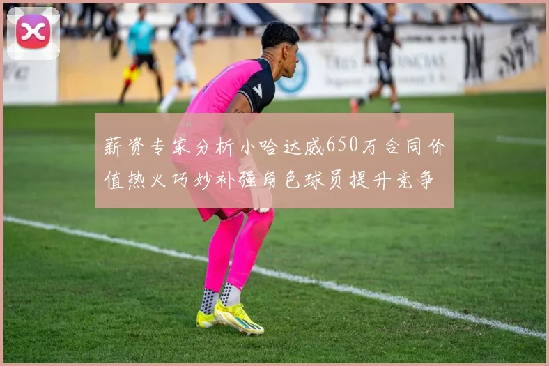 薪资专家分析小哈达威650万合同价值热火巧妙补强角色球员提升竞争力